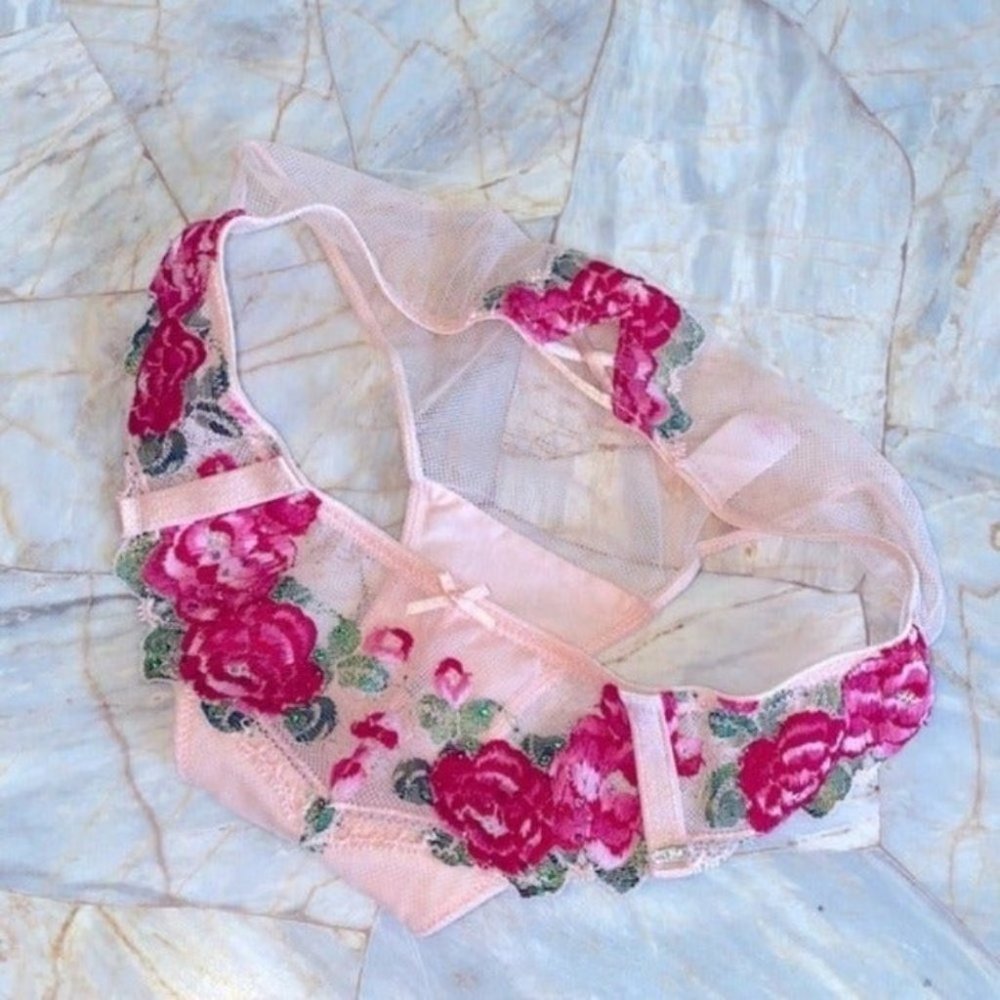 Rare Rose Crystal Bikini Panty Mesh Lace Floral small - Picture 2 of 6
